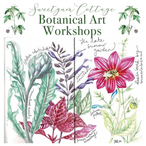 Botanical art workshop (evening) Wed 6 December, 6pm-9pm